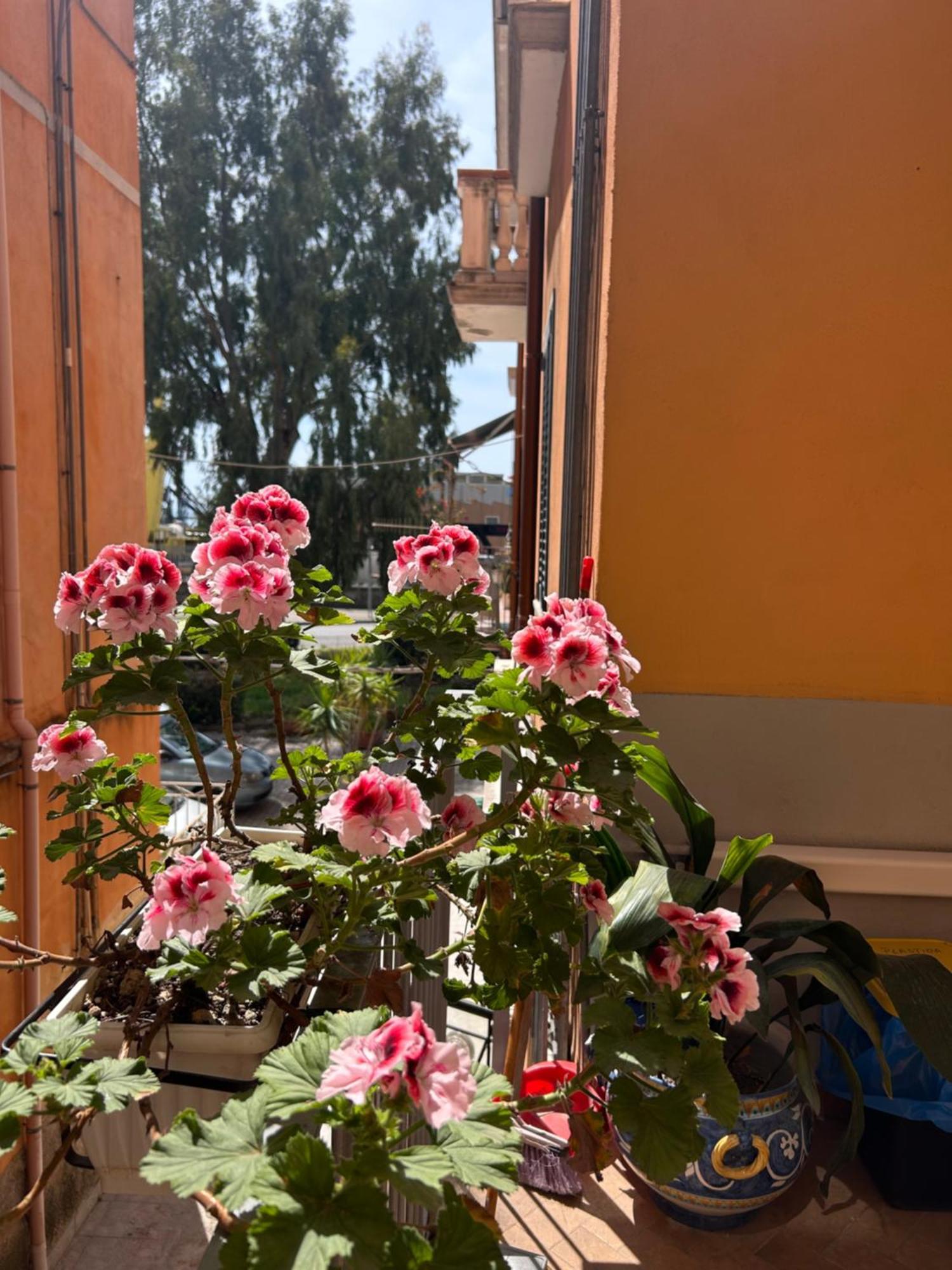 Sissi House Salerno Exterior foto